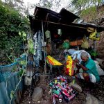 Tinan 18 Domingos nia homan moris